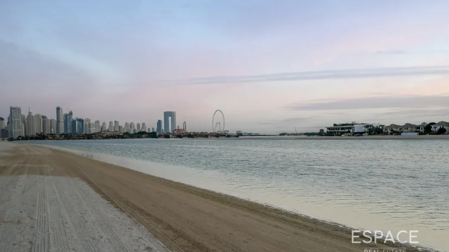 5 غرفة نوم  فيلا في نخلة جميرا, الإمارات العربية المتحدة رقم 883 № 12