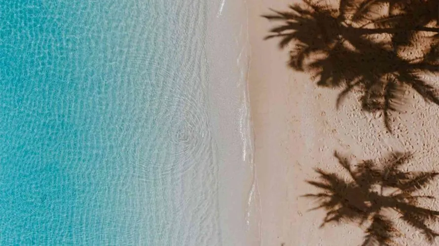 3 غرف نوم شقة في نخلة جميرا, الإمارات العربية المتحدة رقم 1932 № 1