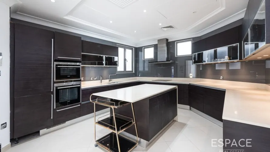 Villa de 4 dormitorios en Palm Jumeirah, UAE No. 878 № 3