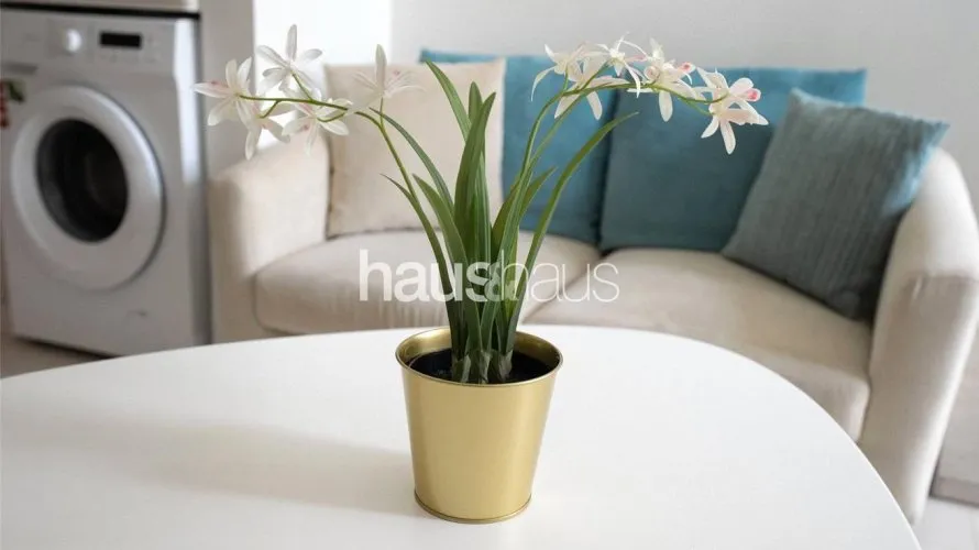 Appartement de Studio à Seven Palm, UAE No. 564 № 6