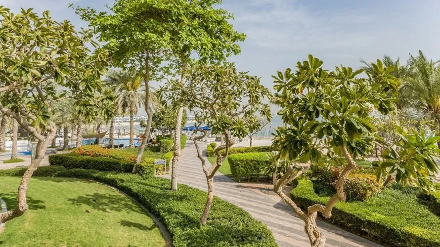 Квартира с 2 спальнями в  Shoreline Apartments, Пальма Джумейра, Дубай, ОАЭ №444 № 27