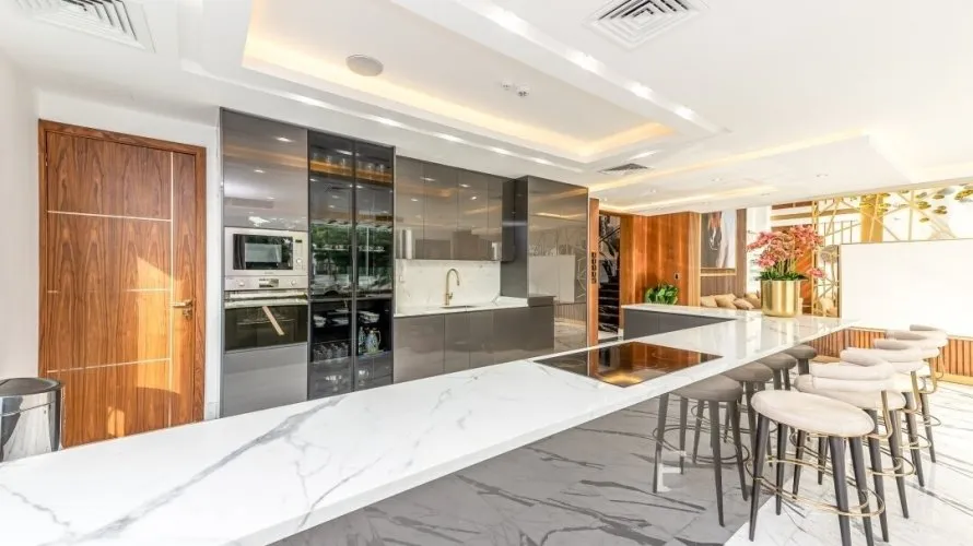 6 bedrooms villa for sale , Palm Jumeirah, Dubai, UAE No. 293 № 5